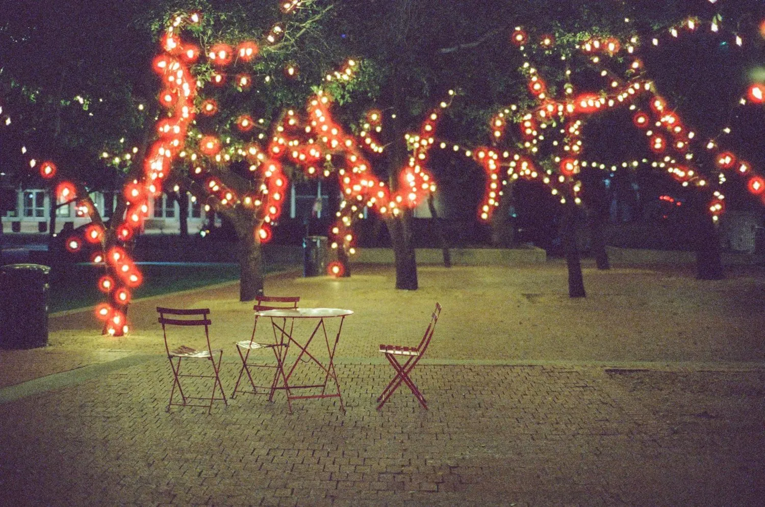 Trees wrapped in red lights on a walk-through trail